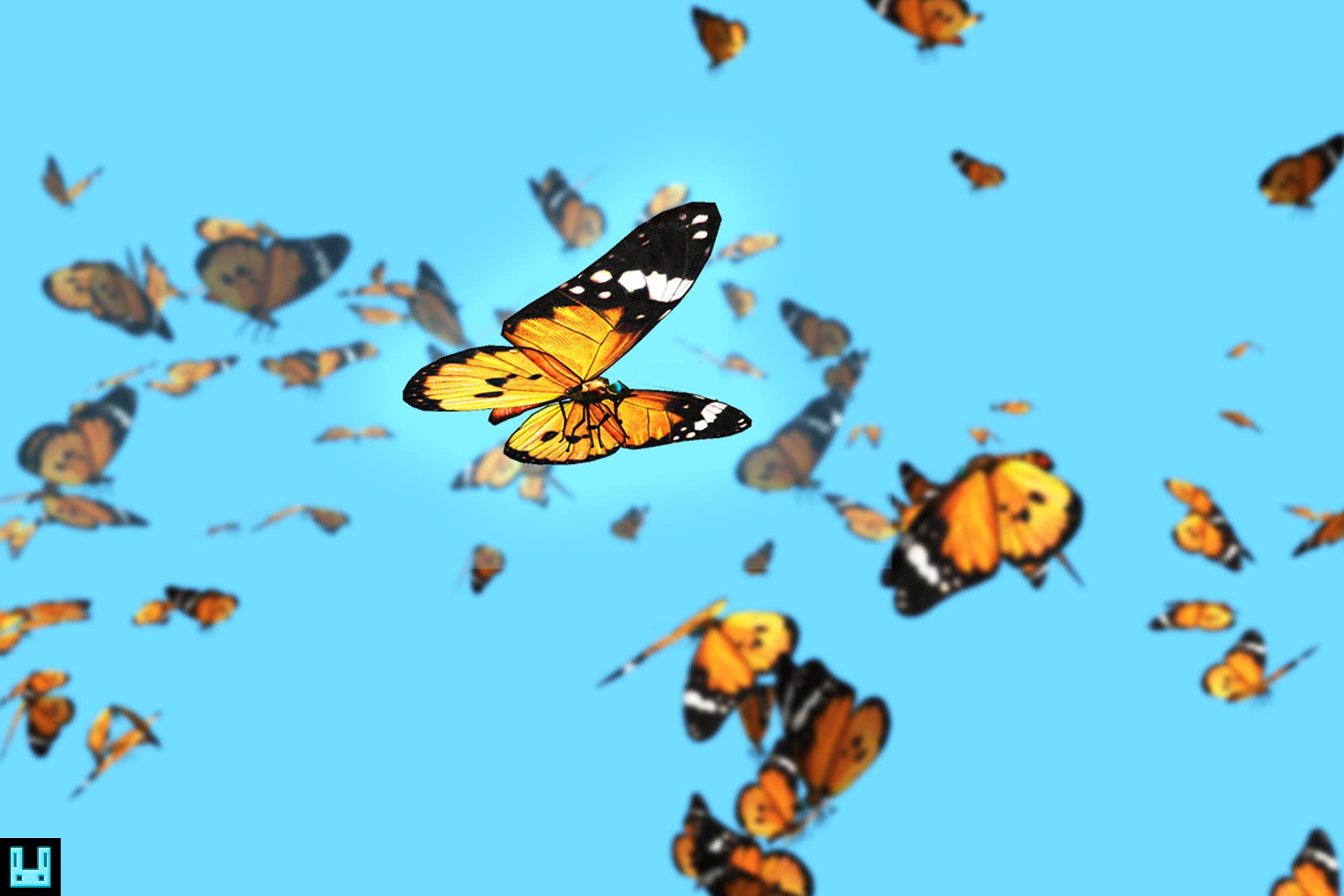 Butterfly African Monarch