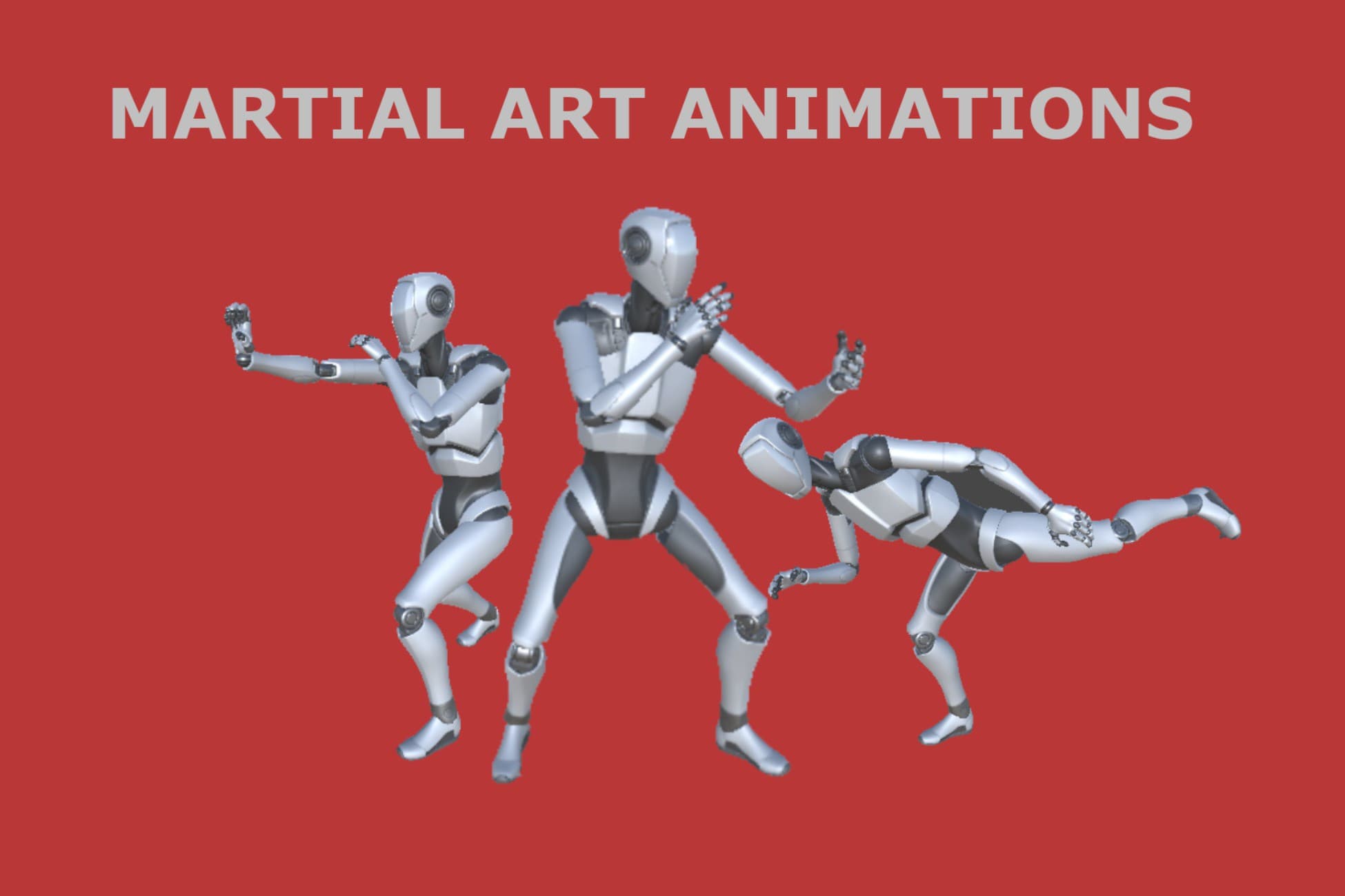 Martial Art Animations