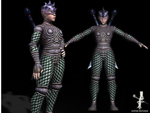 Animated Lady Assassin