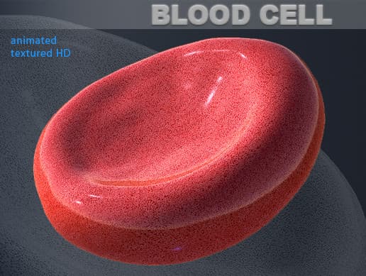 Blood Cell animated