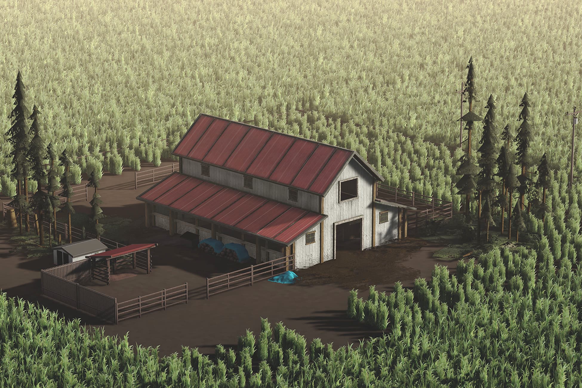 Barn Building