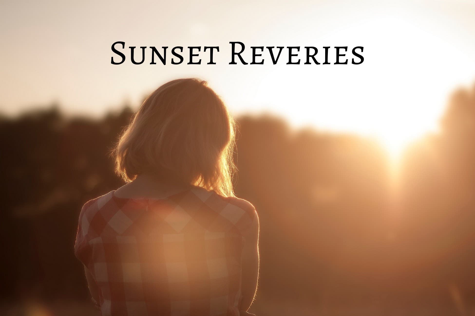 Sunset Reveries