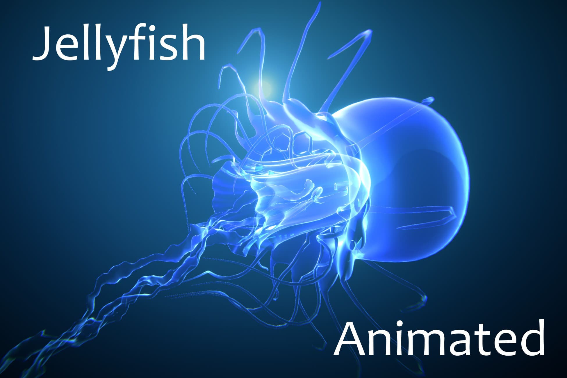 Jellyfish animated