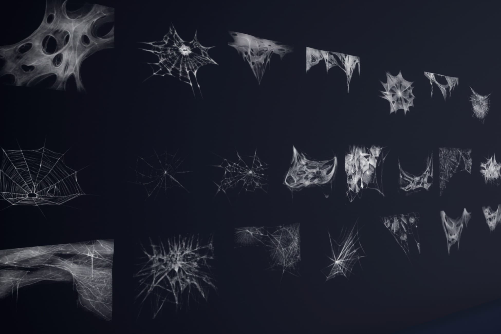 Animated Spiderweb Collection