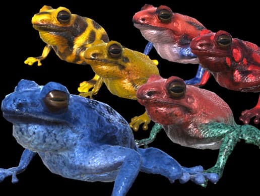 Toxic Frogs