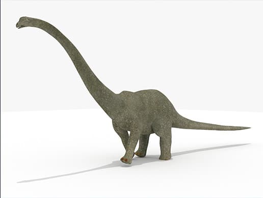 Diplodac Dinosaur - Animated