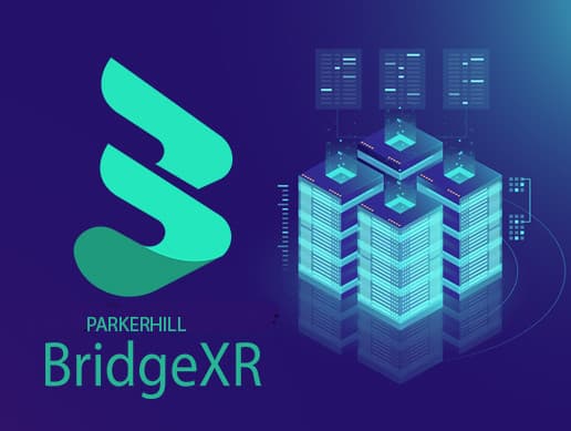 BridgeXR