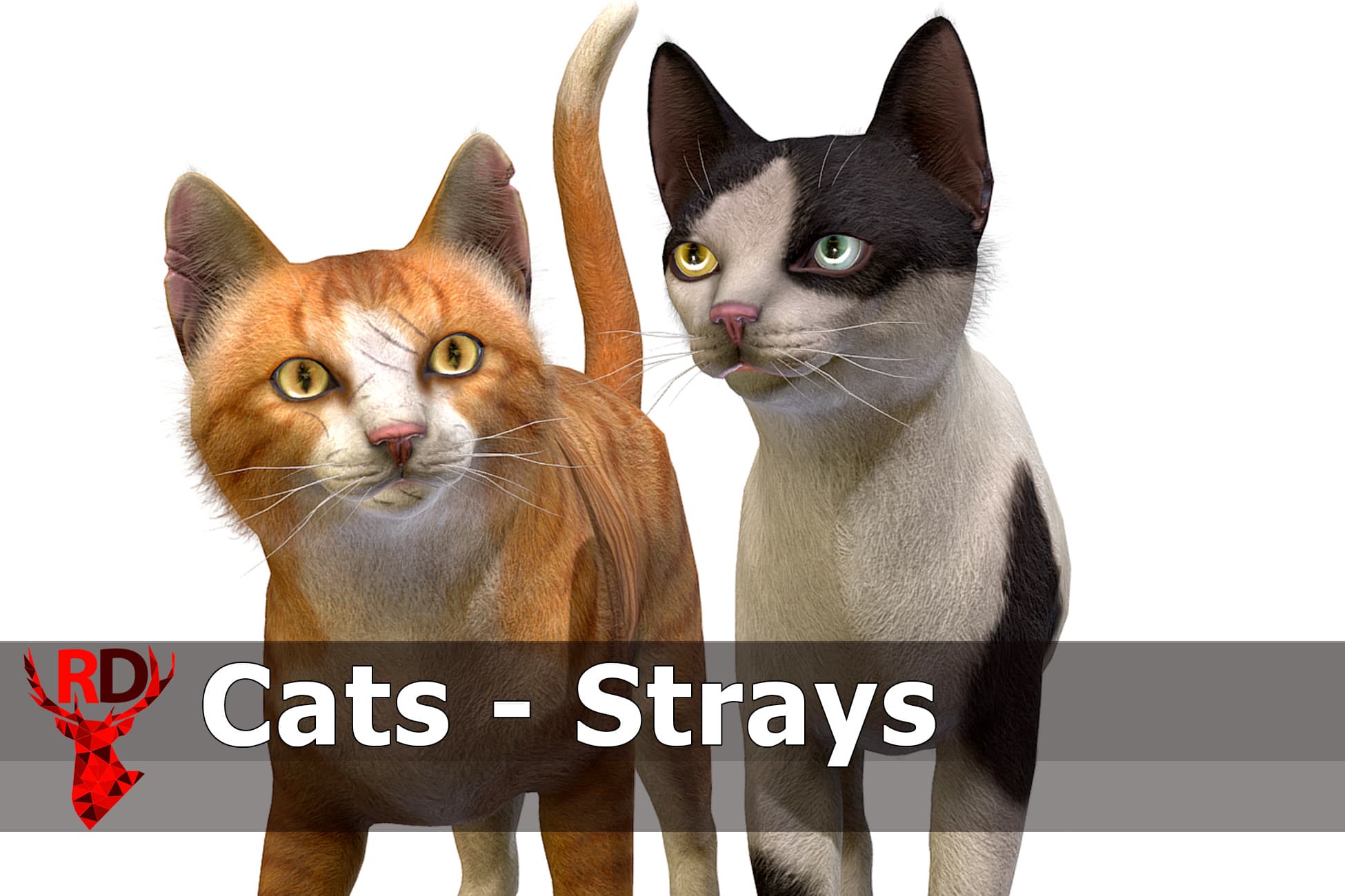 Cats - Strays