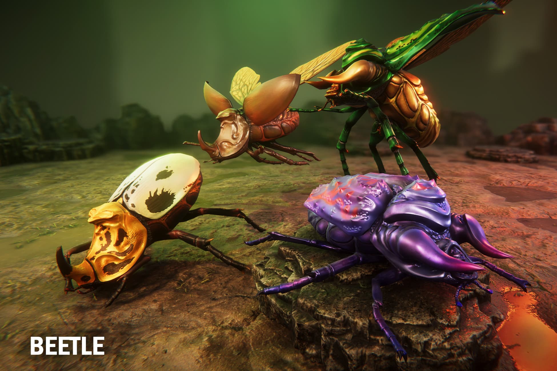Beetles