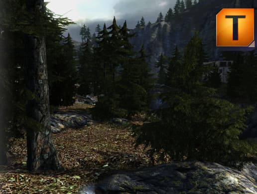 Mountain Tree Pack