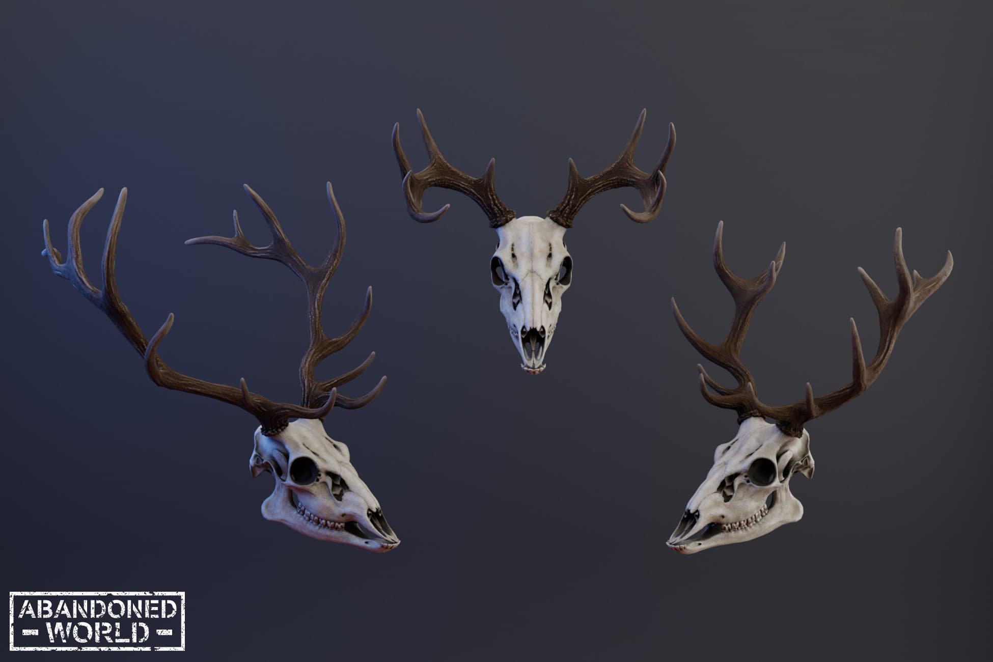 Deer Skull