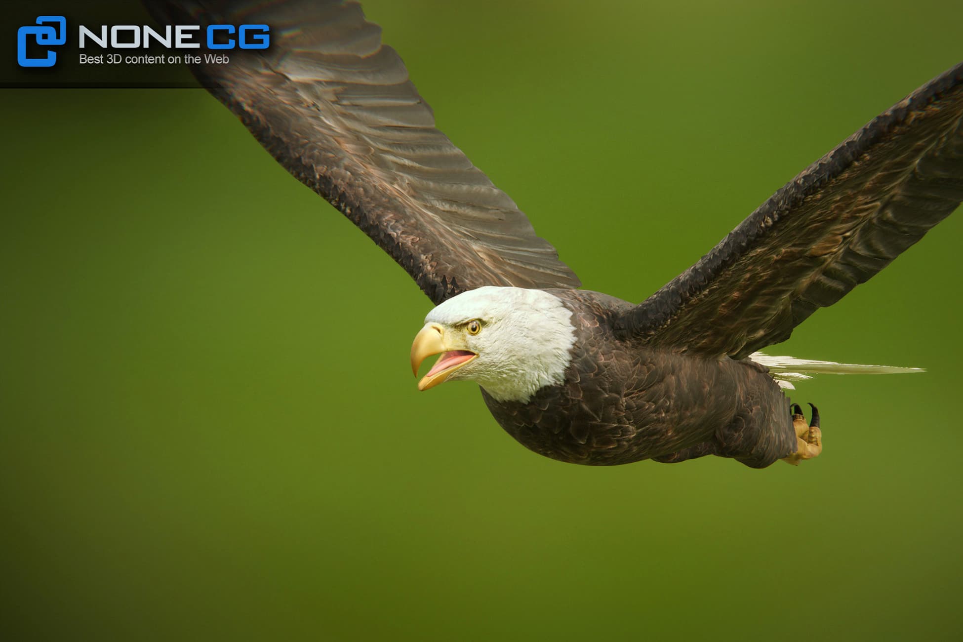 Animated Bald Eagle v3.0