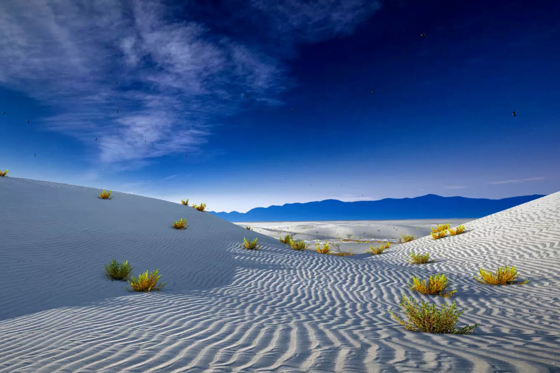 White Desert Dunes Environment