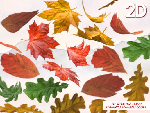 2D Leaves