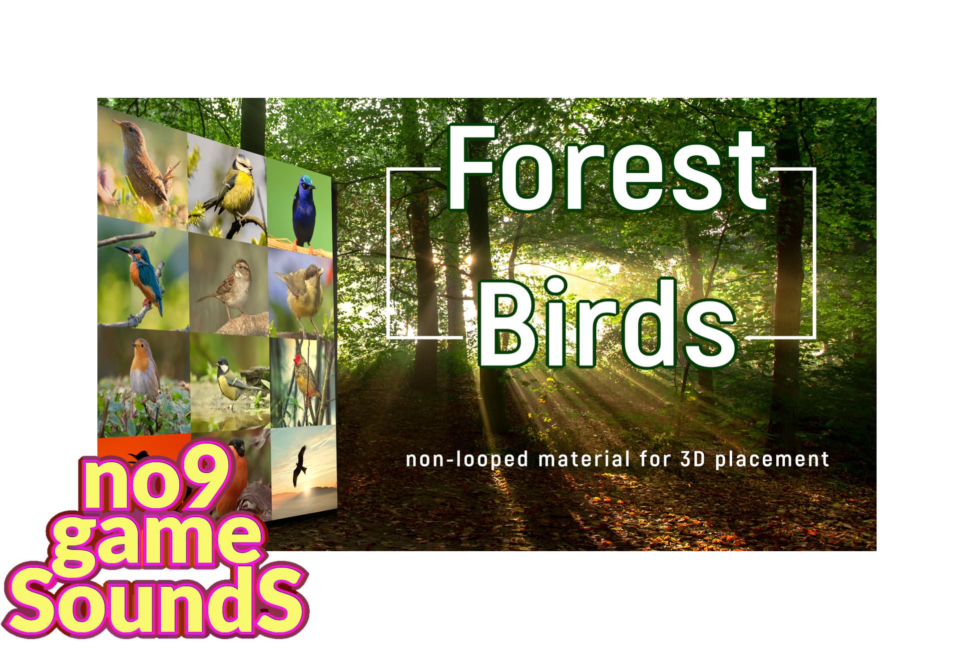 Forest Birds