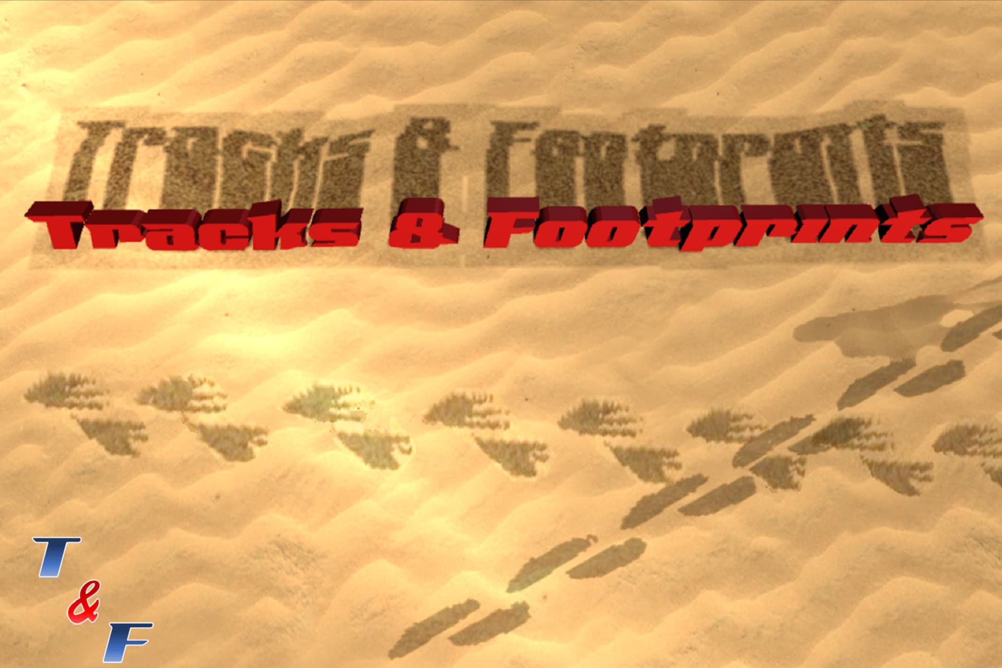 Tracks and Footprints
