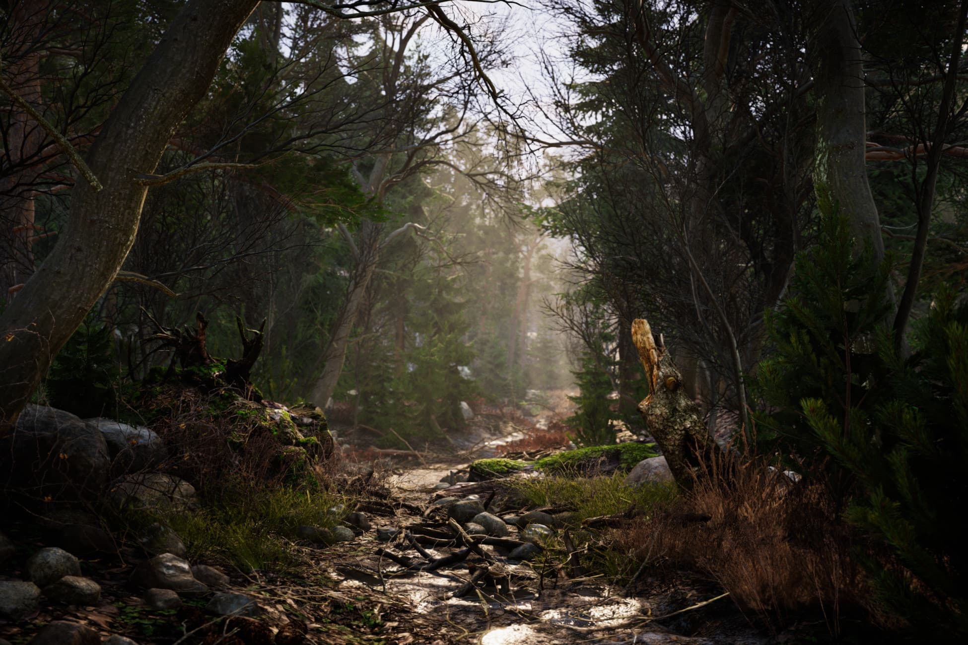 Real Landscapes - Valley Forest