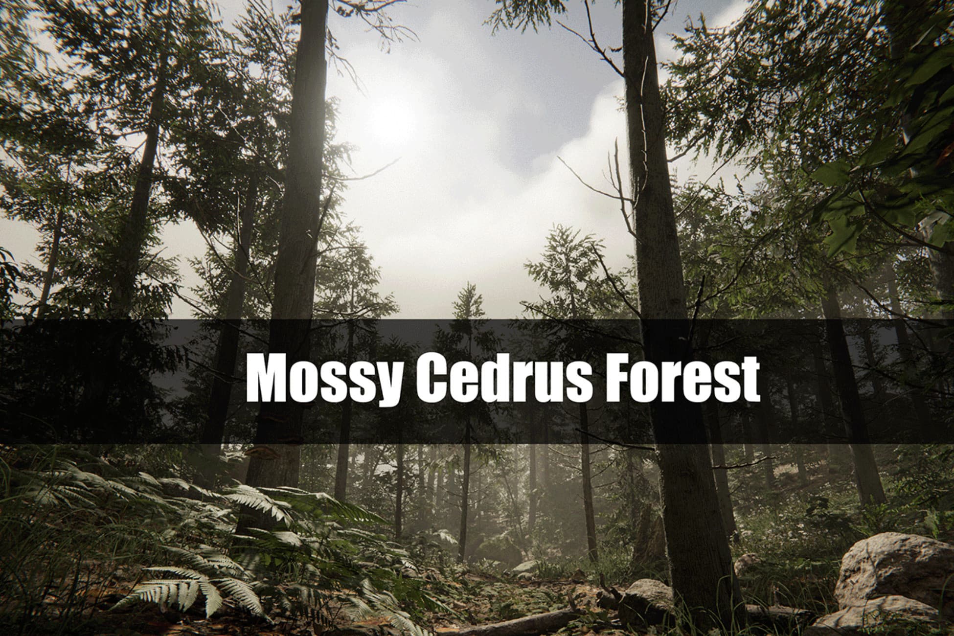 Mossy Cedrus Forest