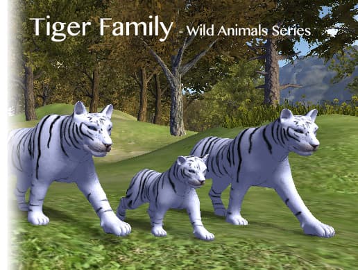 Animated Tigers