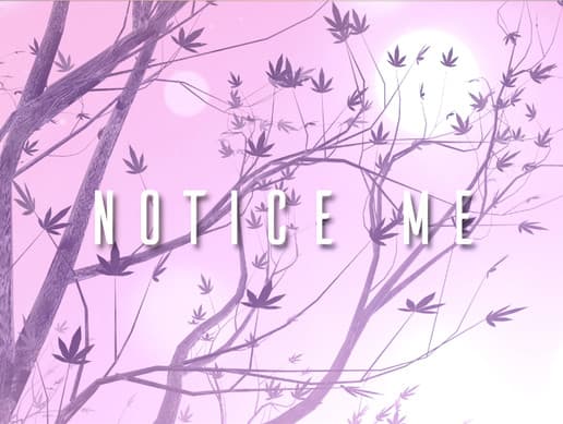 Notice Me