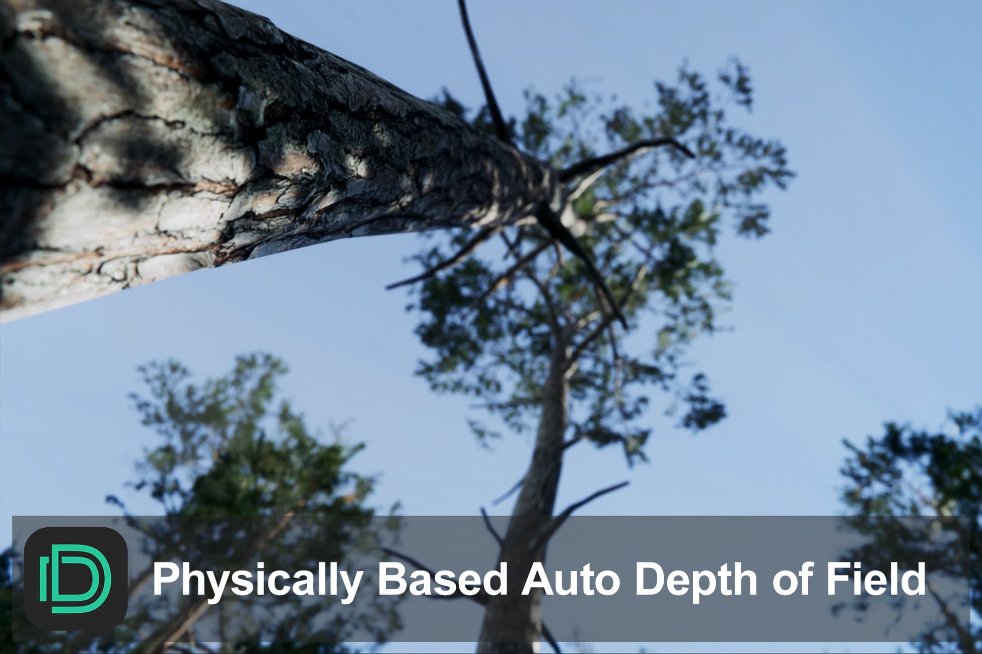 Physically Based Auto Depth of Field