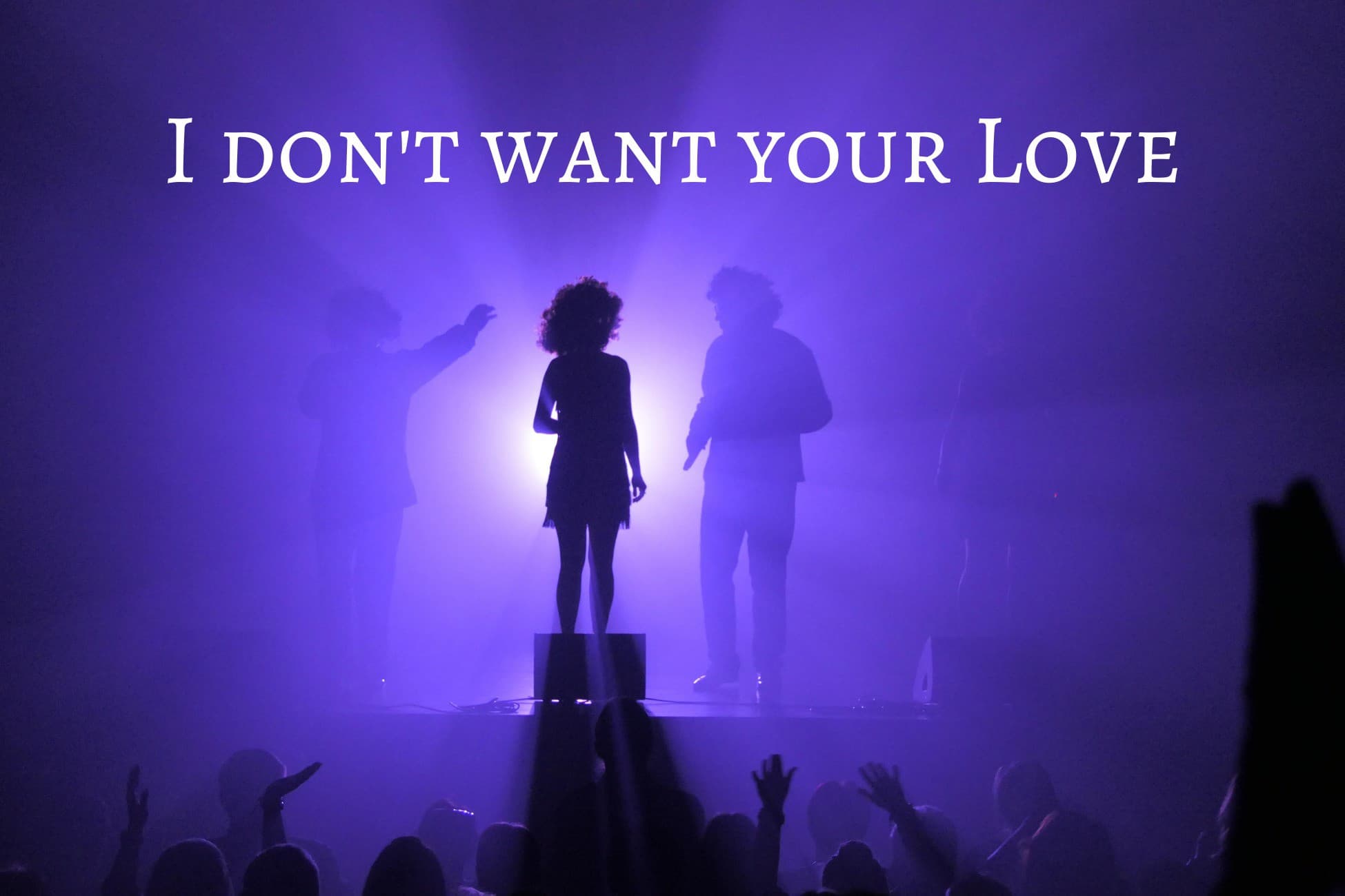 I don't want your Love