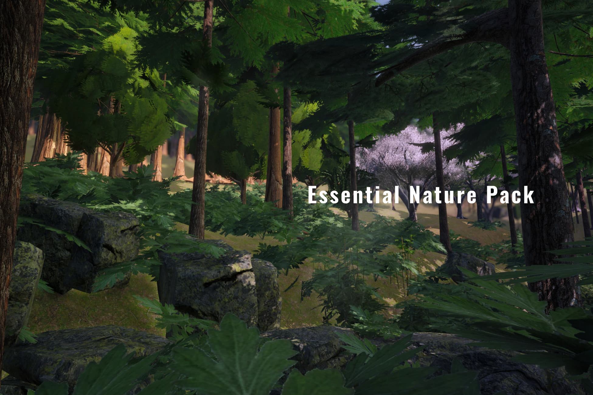 Essential Nature Pack