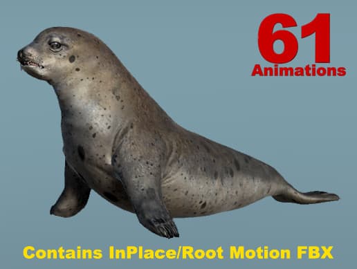 Arctic Animal Seal (Full Version)