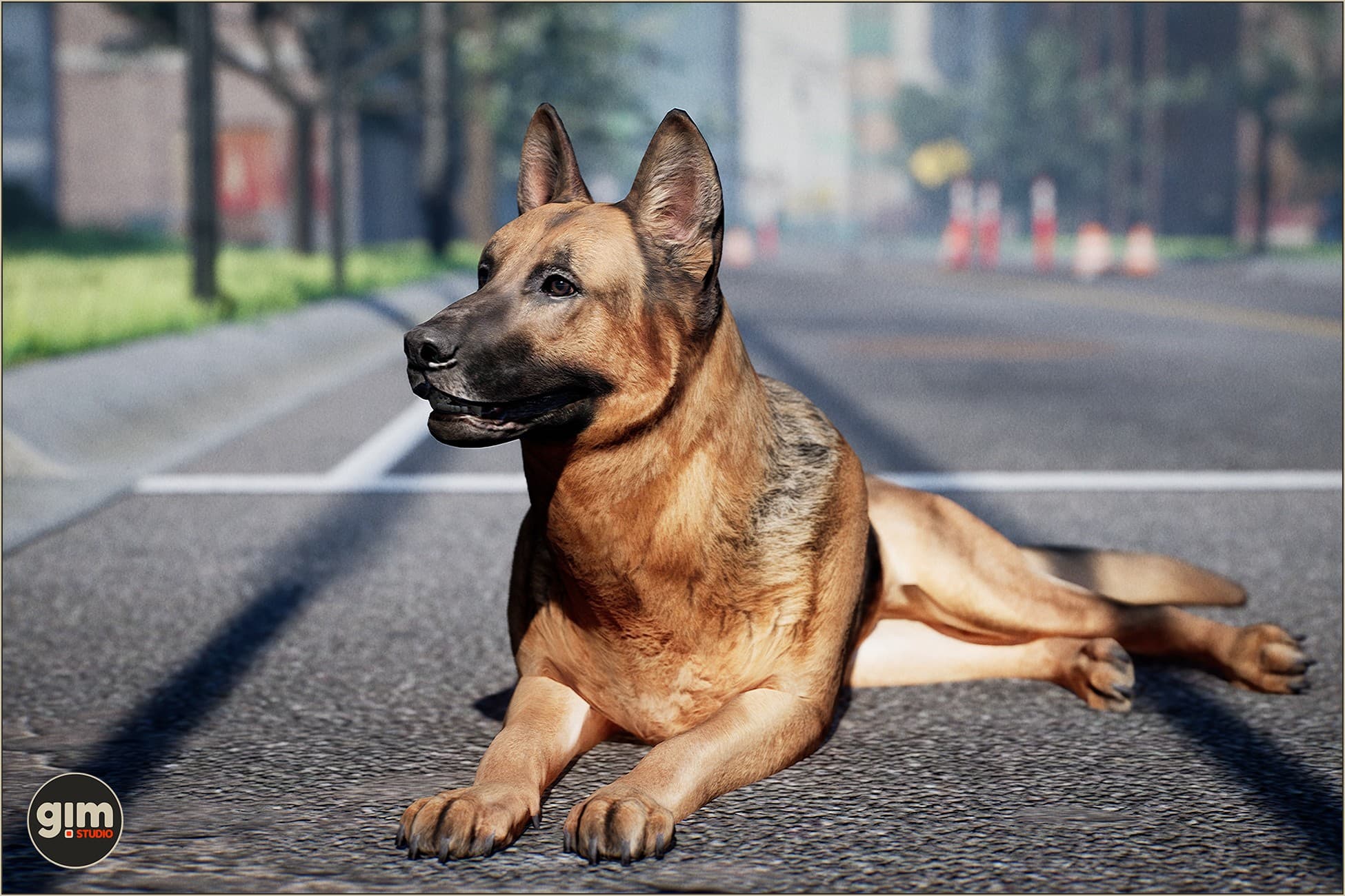 Animalia - German Shepherd (male)