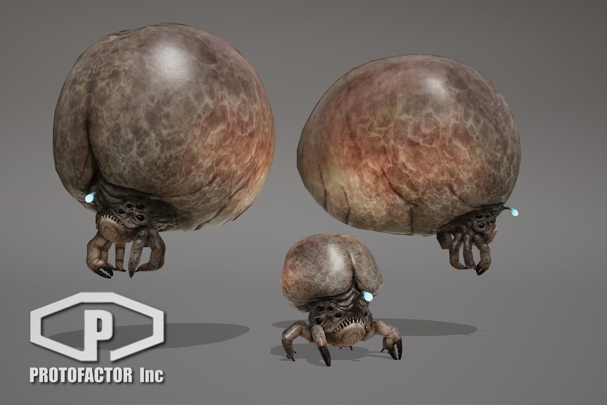 MONSTER: FUNGLICANE