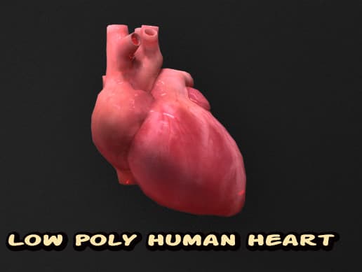 Low Poly Human Heart
