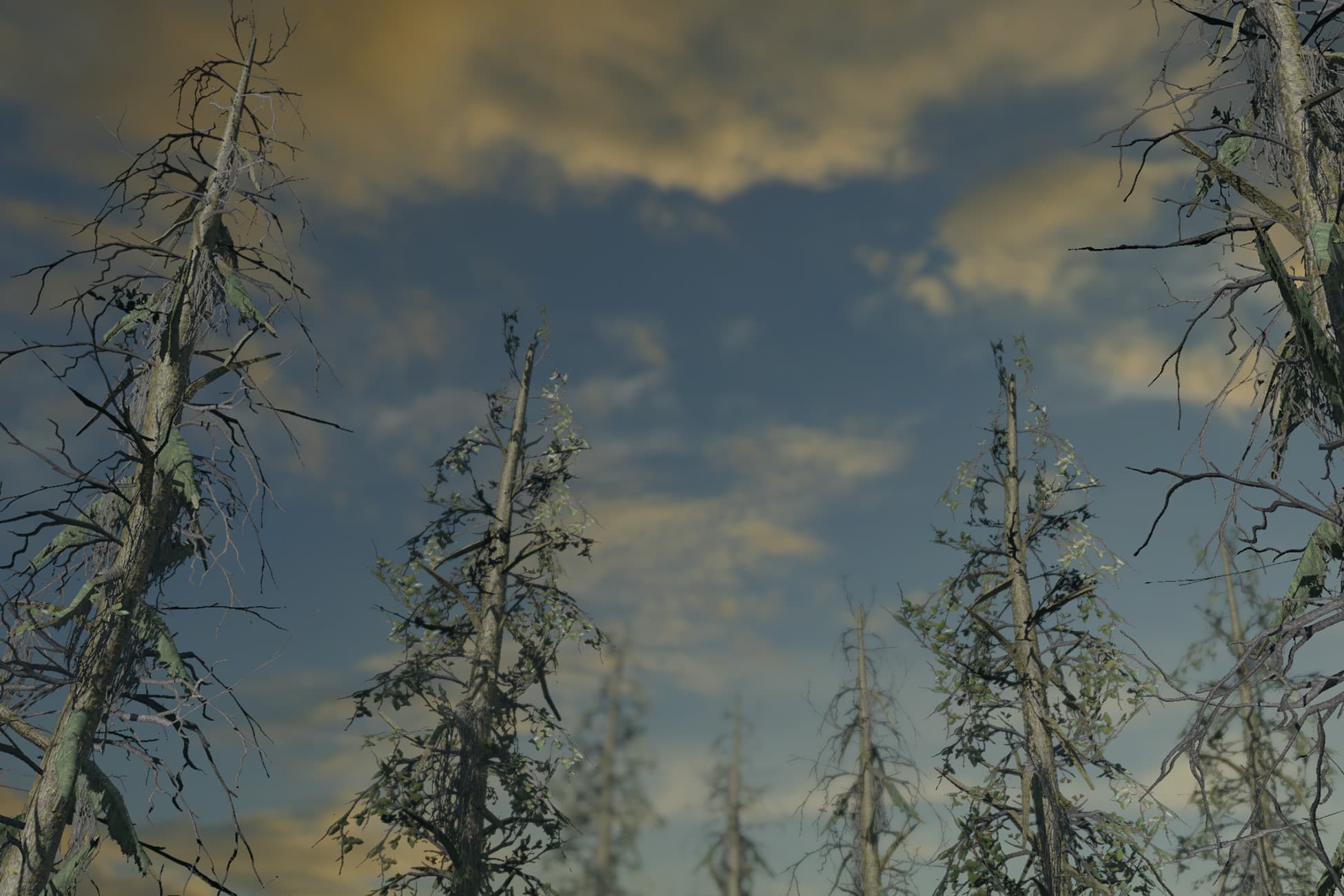 Nature Assets - Swamp Trees