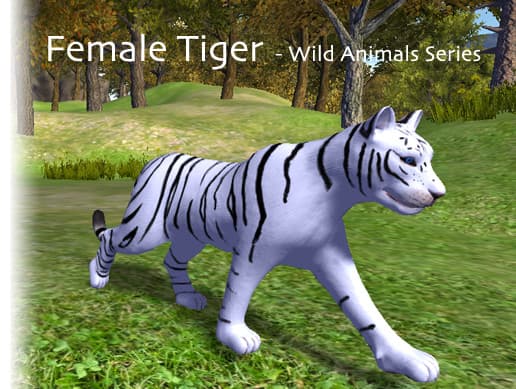 Animated Tigers - Female