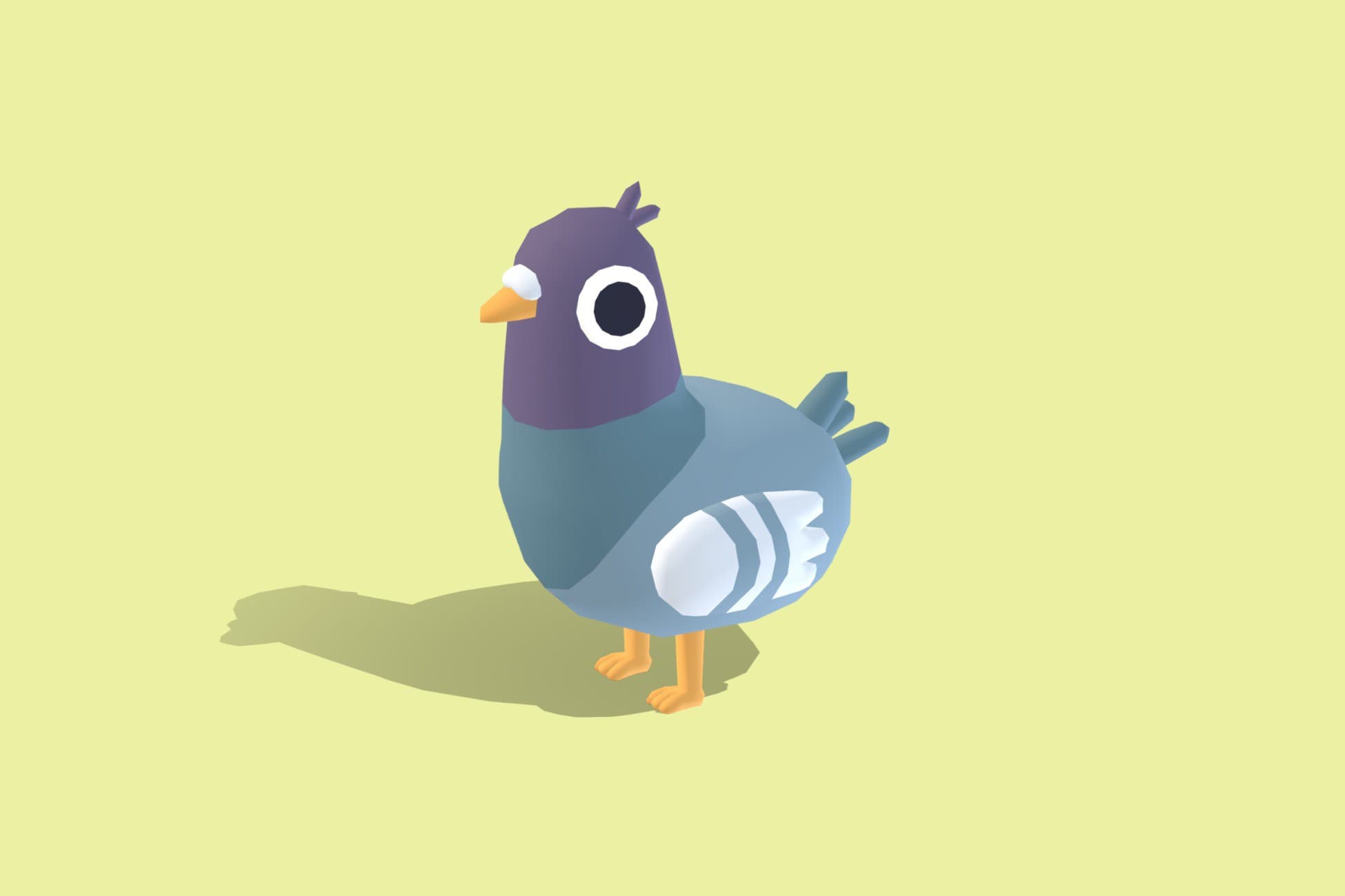 Pigeon - Quirky Series
