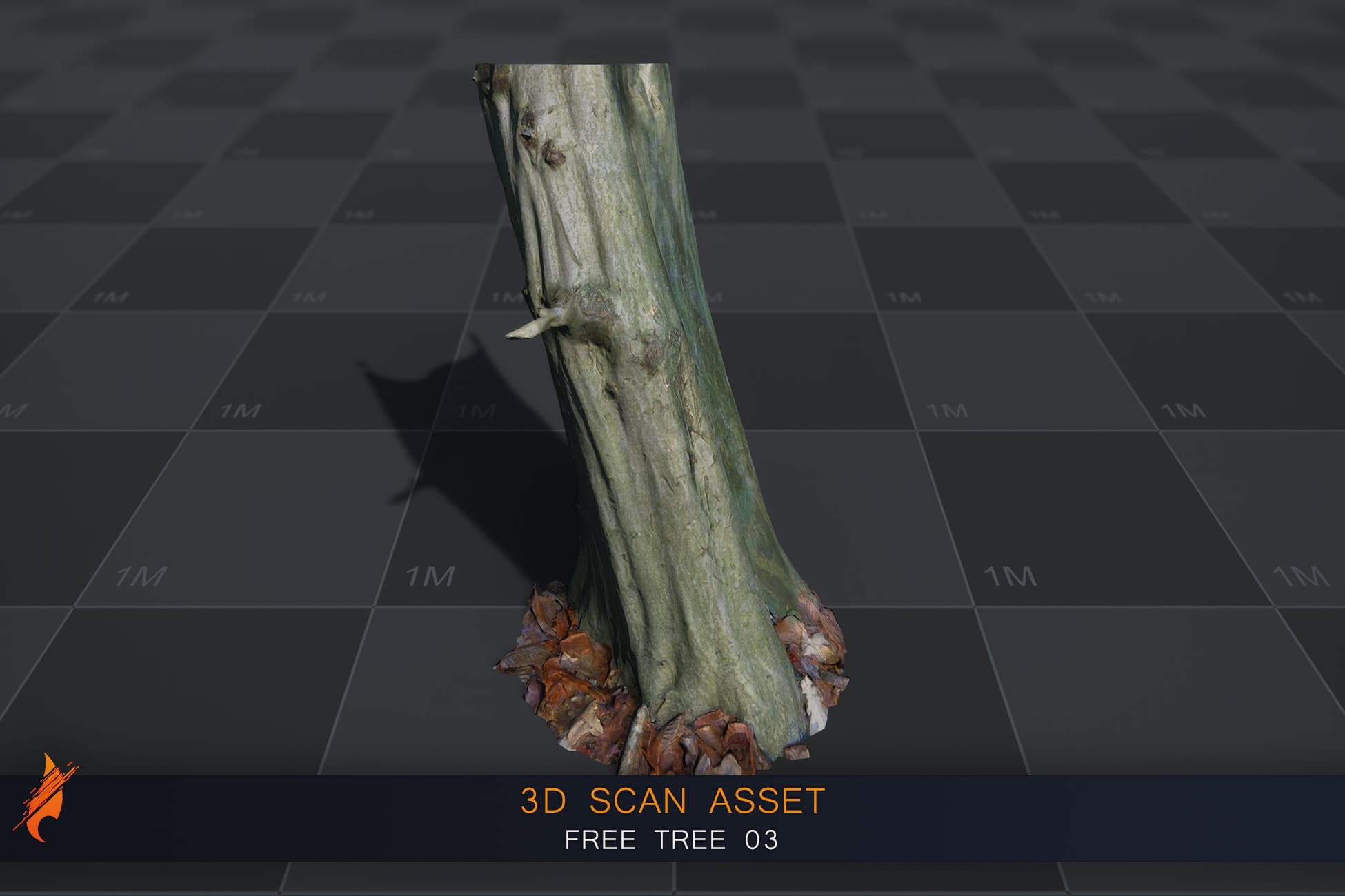 Photoscans: Free Tree 03