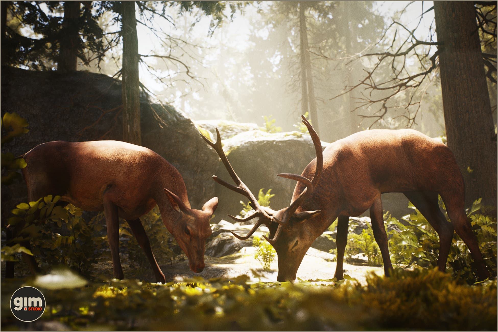 Animalia - Red Deer (pack)