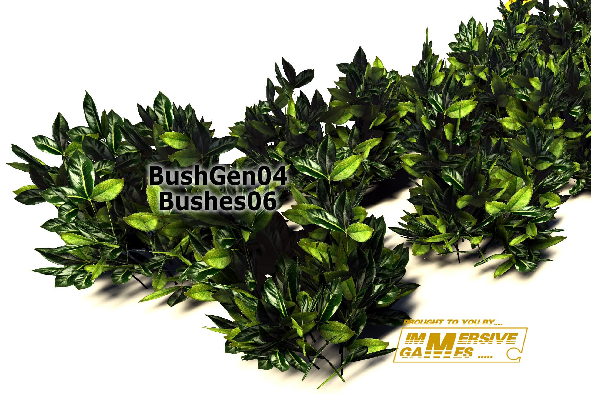 BushGen04-Bushes06