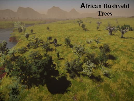 African Bushveld Trees