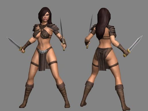 Female Barbarian Bezerker