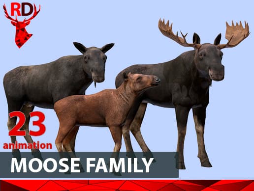 MOOSE FAMILY(short)